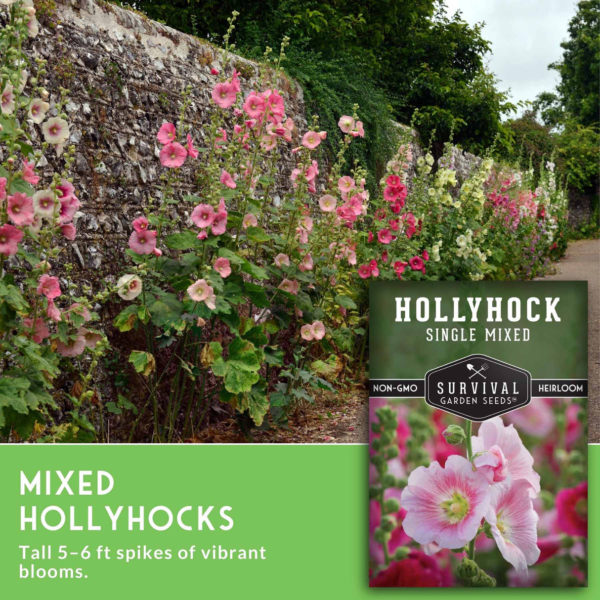 Garden scene with pink hollyhock flowers and a seed packet labeled 'Hollyhock Single Mixed' by Survival Garden Seeds.