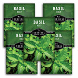 Five packages of Survival Garden Seed basil holy seeds with green leaves in the background.