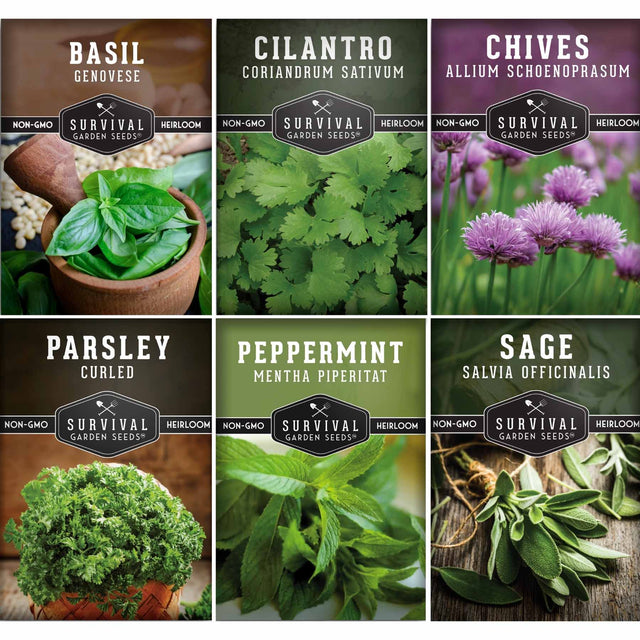 Collection of Survival Garden Seeds packages with various herbs and their images.