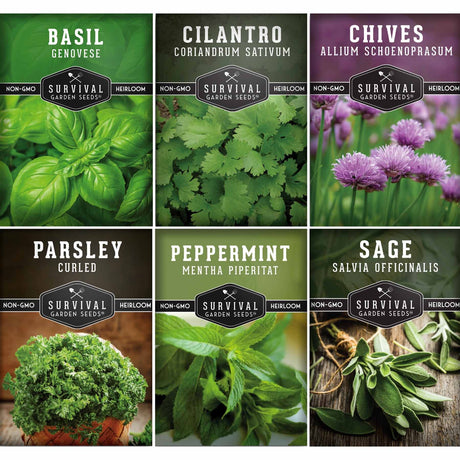 Six seed packet designs for garden herbs arranged in a 2x3 grid: Basil Genovese, Cilantro Coriandrum Sativum, Chives Allium Schoenoprasum, Parsley Curled, Peppermint Mentha Piperitat, and Sage Salvia Officinalis. Each packet shows the plant name at the top, the Survival Garden Seeds logo in the center, and a photo of the fresh herb below.