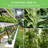 Collage of hydroponic herb kit with plants and growing system, optimized for indoor use.