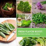Collage of fresh herbs with a focus on their use in cooking.