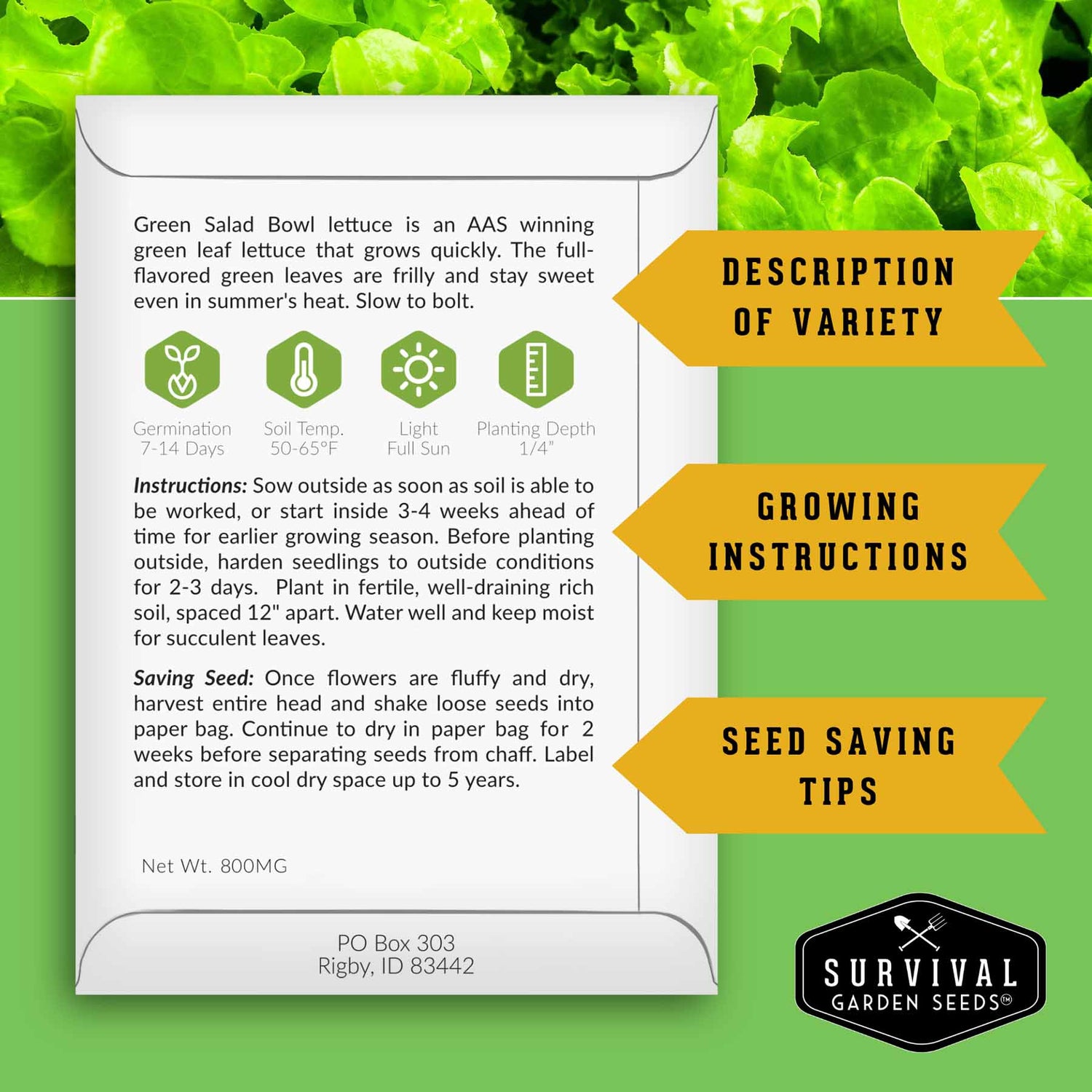 planting depth for vegetable seeds 6 Pack Hydroponic Vegetable Seed