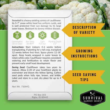 Survival Garden Seeds cauliflower seed packet with variety description, growing instructions, and seed saving tips on a green background.