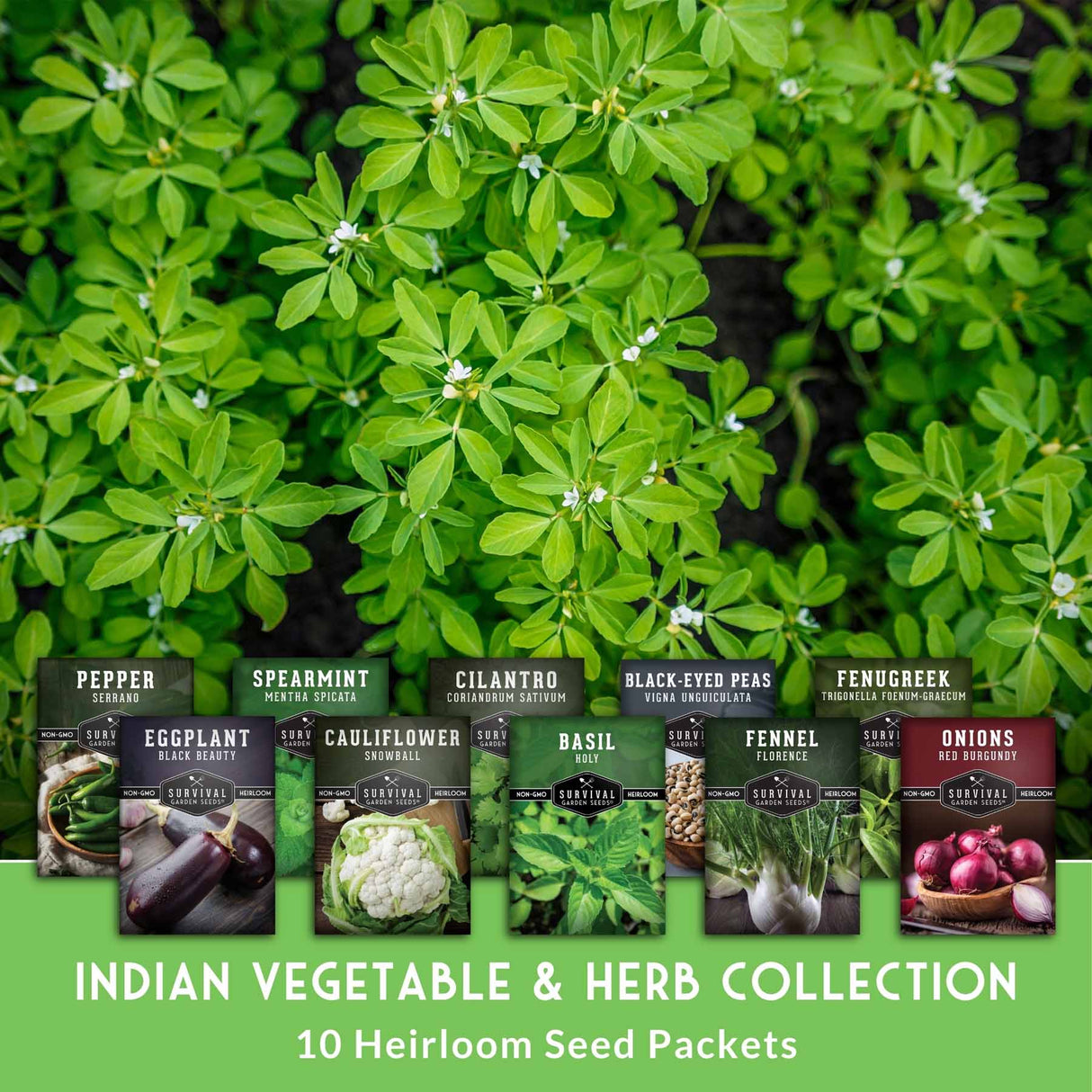 Collection of Indian vegetable and herb seed packets with green plants in the background.