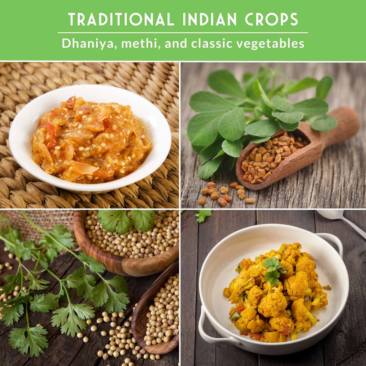 Collage of traditional Indian crops including Dhaniya, methi, and vegetables.