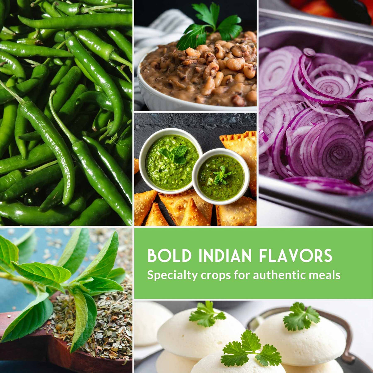 Collage of ingredients with text 'Bold Indian Flavors' and 'Specialty crops for authentic meals'.