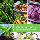Collage of ingredients with text 'Bold Indian Flavors' and 'Specialty crops for authentic meals'.