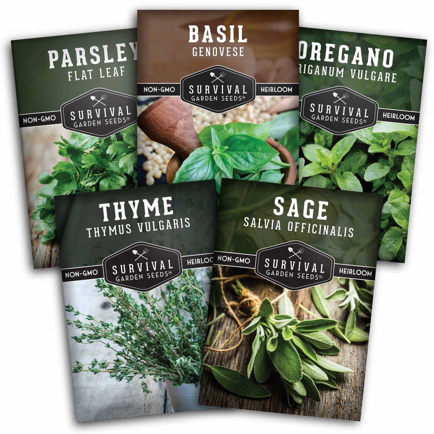 herb seeds for garden 5 Italian Herb Seeds - Basil, Oregano, Thyme, Sage, Parsley