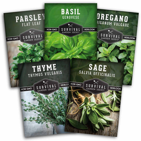 Five seed packets for herb seeds from Survival Garden Seeds are arranged in a fan-like composition. The packets include Parsley Flat Leaf, Basil Genovese, Oregano Ligustrum Vulgare, Thyme Thymus Vulgaris, and Sage Salvia Officinalis, each featuring green and dark green packaging with photos of fresh herbs.