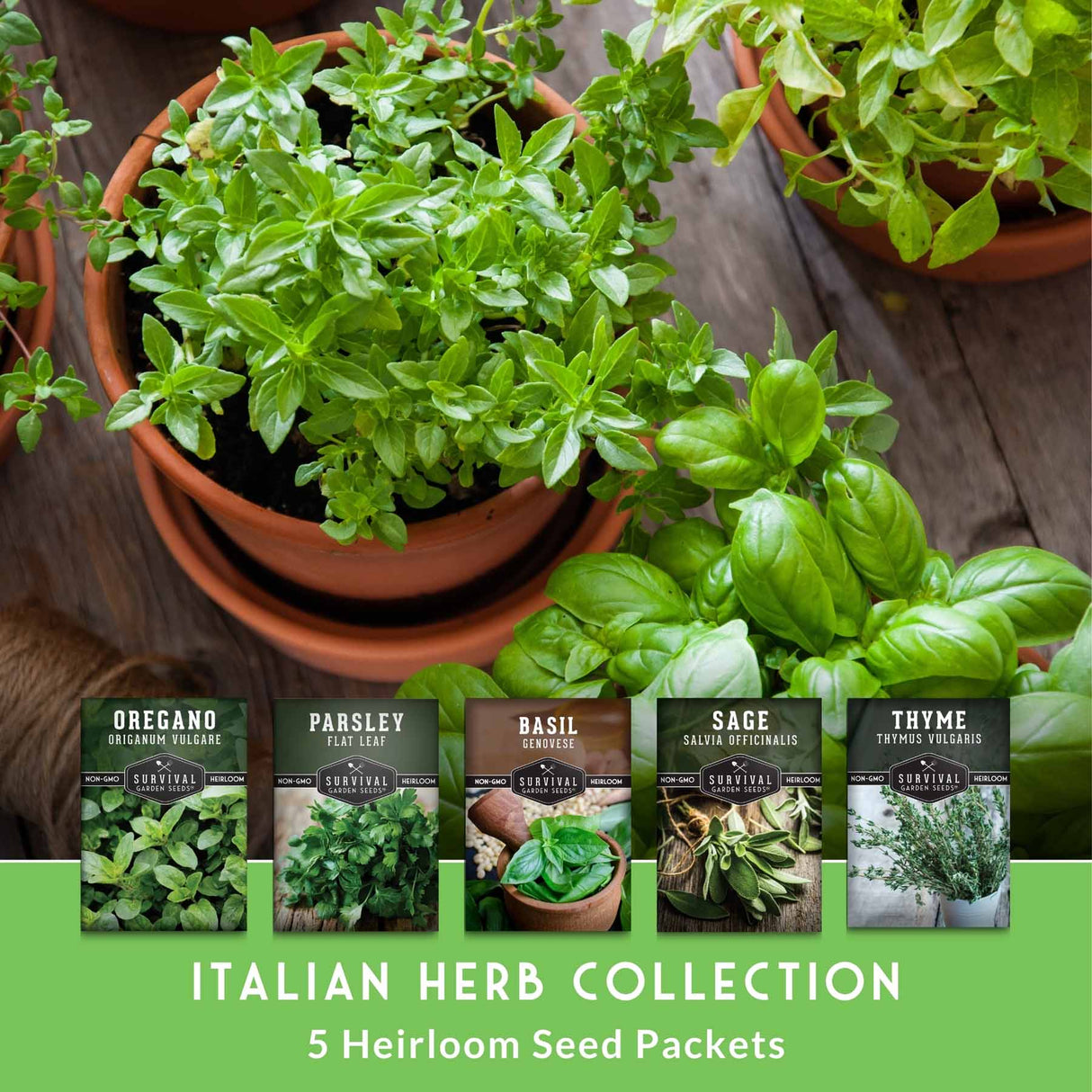 Italian Herb Collection - 5 heirloom seed packets