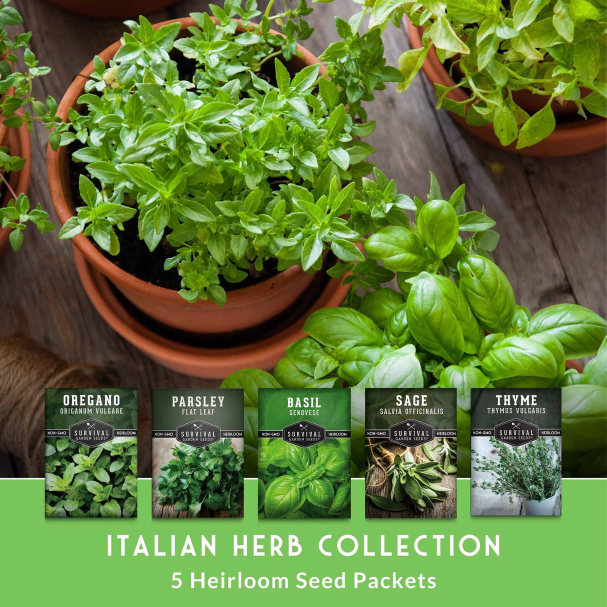 Five herb seed packets for Oregano, Parsley, Basil, Sage, and Thyme are displayed against a background of fresh green herbs in terracotta pots on a wooden surface, with a green banner at the bottom reading 'ITALIAN HERB COLLECTION 5 Heirloom Seed Packets'.