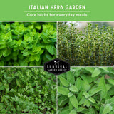 Italian herb garden with fresh herb plants