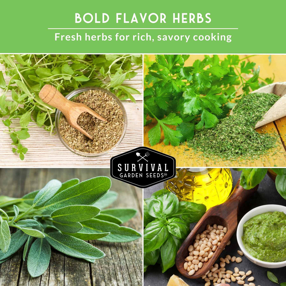 various herbs and text that says Bold Flavor herbs