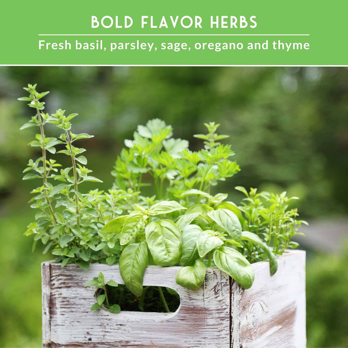 Wooden crate with basil, oregano and other herbs