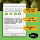 An informational product card for Survival Garden Seeds' Jersey Wakefield heirloom cabbage, set against a background of green leaves. The white card features text describing the variety, growing instructions, seed-saving tips, and key growing conditions, alongside three yellow callout banners.