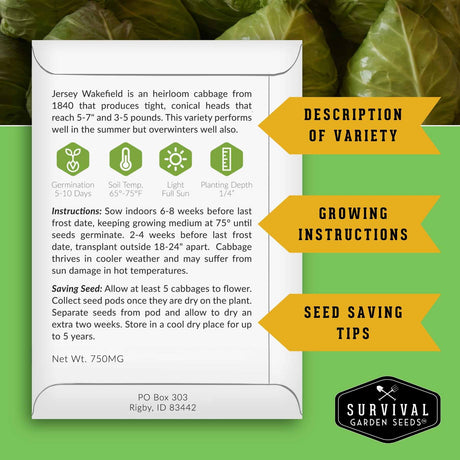 An informational product card for Survival Garden Seeds' Jersey Wakefield heirloom cabbage, set against a background of green leaves. The white card features text describing the variety, growing instructions, seed-saving tips, and key growing conditions, alongside three yellow callout banners.