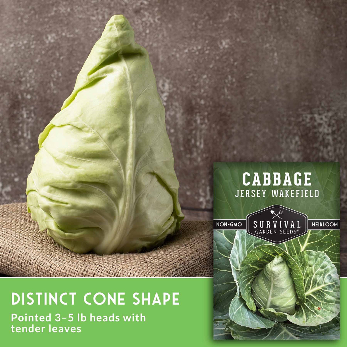A pale green cabbage head standing upright on burlap, with a seed packet labeled 'Cabbage Jersey Wakefield' and marketing text at the bottom. The text highlights the distinct cone shape of the pointed 3-5 lb heads.