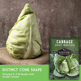 A pale green cabbage head standing upright on burlap, with a seed packet labeled 'Cabbage Jersey Wakefield' and marketing text at the bottom. The text highlights the distinct cone shape of the pointed 3-5 lb heads.