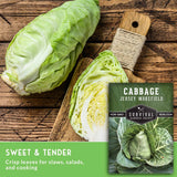 Two heads of fresh Jersey cabbage on a rustic wooden table, with one cut open to show the inner layers. A seed packet labeled 'Survival Garden Seeds Cabbage Jersey Wakefield' is shown in the lower right, alongside a green text banner that reads 'Sweet & Tender' and 'Crisp leaves for slaws, salads, and cooking.