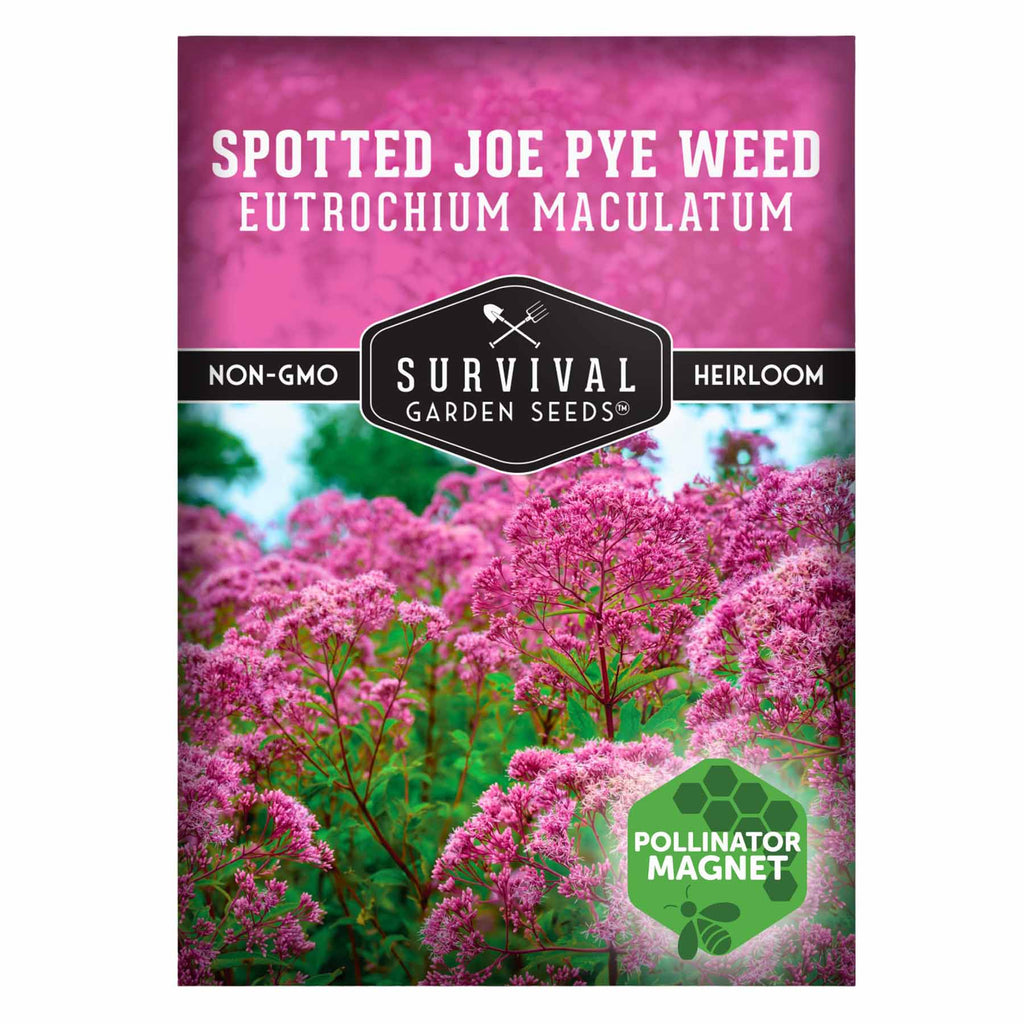 1 Spotted Joe Pye Weed seed packet with pink flowers and Survival Garden Seeds branding.