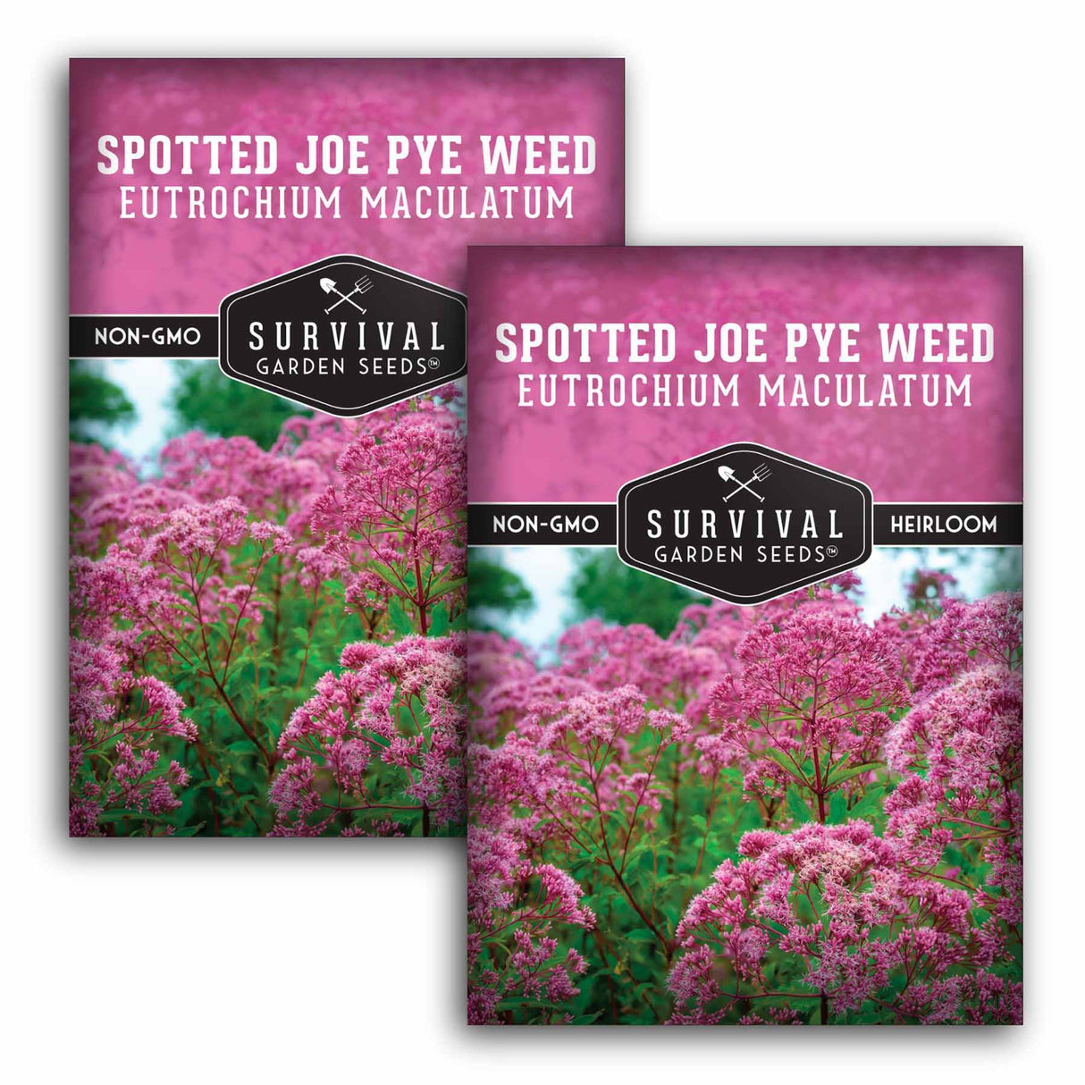 Two packages of Survival Garden Seeds Spotted Joe Pye Weed on a white background