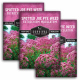Three packages of Survival Garden Seeds Spotted Joe Pye Weed on a white background