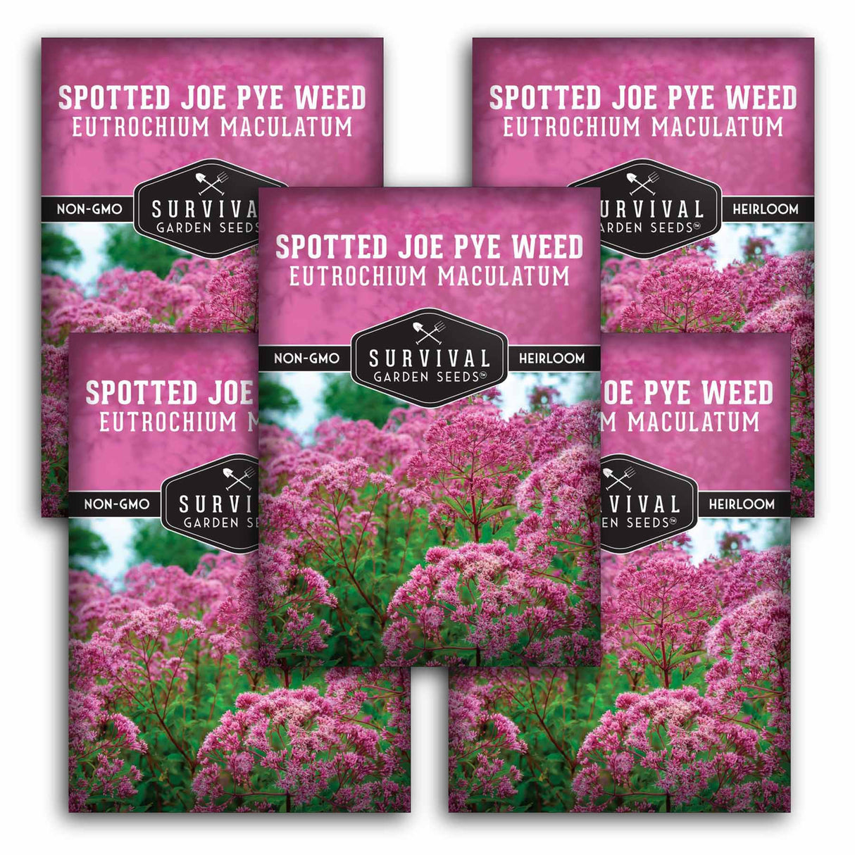 5 Survival Garden Seeds Spotted Joe Pye Weed packages with pink flowers and green leaves.