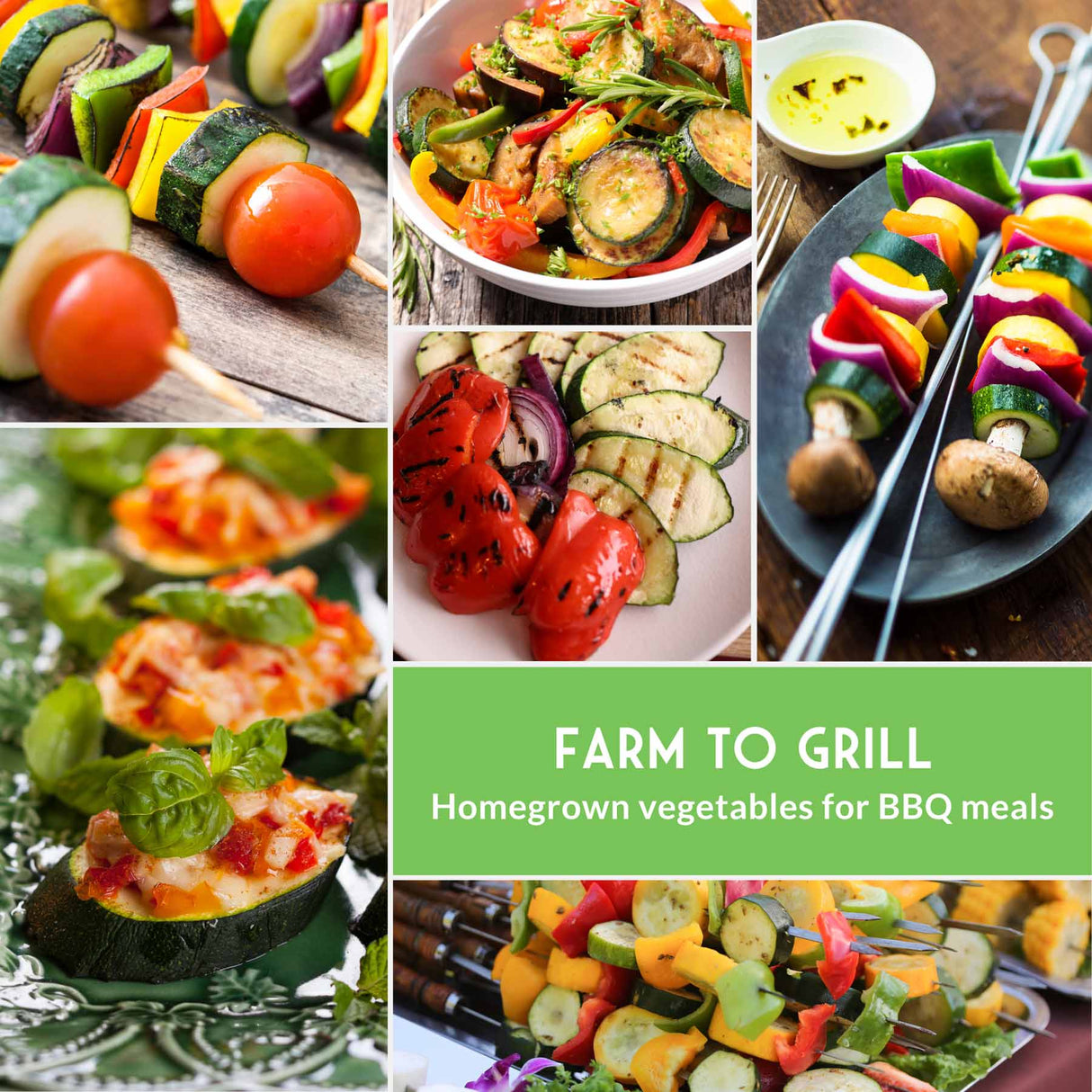 Collage of various vegetable skewers and grilled vegetables with a green banner at the bottom reading 'Farm to Grill'.