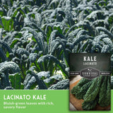 Field of Lacinato kale with a label for Survival Garden Seeds on a wooden board.