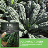Kale Lacinato with Survival Garden Seeds packaging on a wooden surface