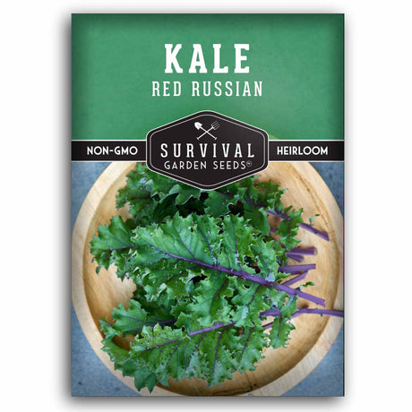 Kale Red Russian seed packet with 'Survival Garden Seeds' branding on a green background