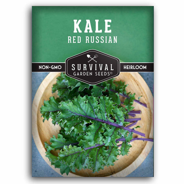Kale Red Russian seed packet with 'Survival Garden Seeds' branding on a green background