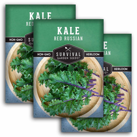Three packages of Survival Garden Seeds Kale Red Russian on a white background