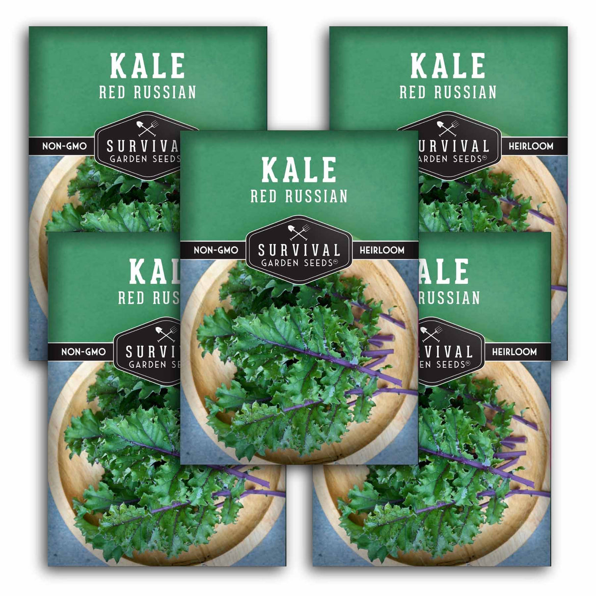 Five packages of Survival Garden Seeds Kale Red Russian on a white background
