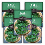 Five packages of Survival Garden Seeds Kale Red Russian on a white background