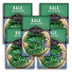 Five packages of Survival Garden Seeds Kale Red Russian on a white background