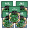 Five packages of Survival Garden Seeds Kale Red Russian on a white background