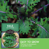 Red Russian kale plant with seed packet and text that says Easy to Grow