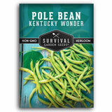 Survival Garden Seeds Pole Bean Kentucky Wonder package with green beans and brand logo.