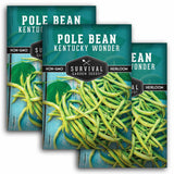 Three packages of Survival Garden Seeds Kentucky Wonder Pole Bean seeds on a white background