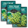 Three packages of Survival Garden Seeds Kentucky Wonder Pole Bean seeds on a white background