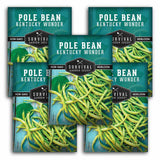 Five packages of Survival Garden Seeds Pole Bean Kentucky Wonder on a white background