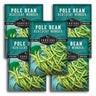 Five packages of Survival Garden Seeds Pole Bean Kentucky Wonder on a white background