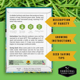 Survival Garden Seeds green bean seed packet with growing instructions and seed saving tips on a green background.