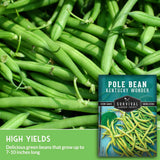 Pole bean seed packet with green beans in the background