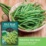 Basket of green beans next to a package of Kentucky Wonder pole beans on a wooden surface.