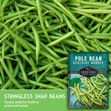 Stringless snap beans with a package of Kentucky Wonder pole beans on a green background