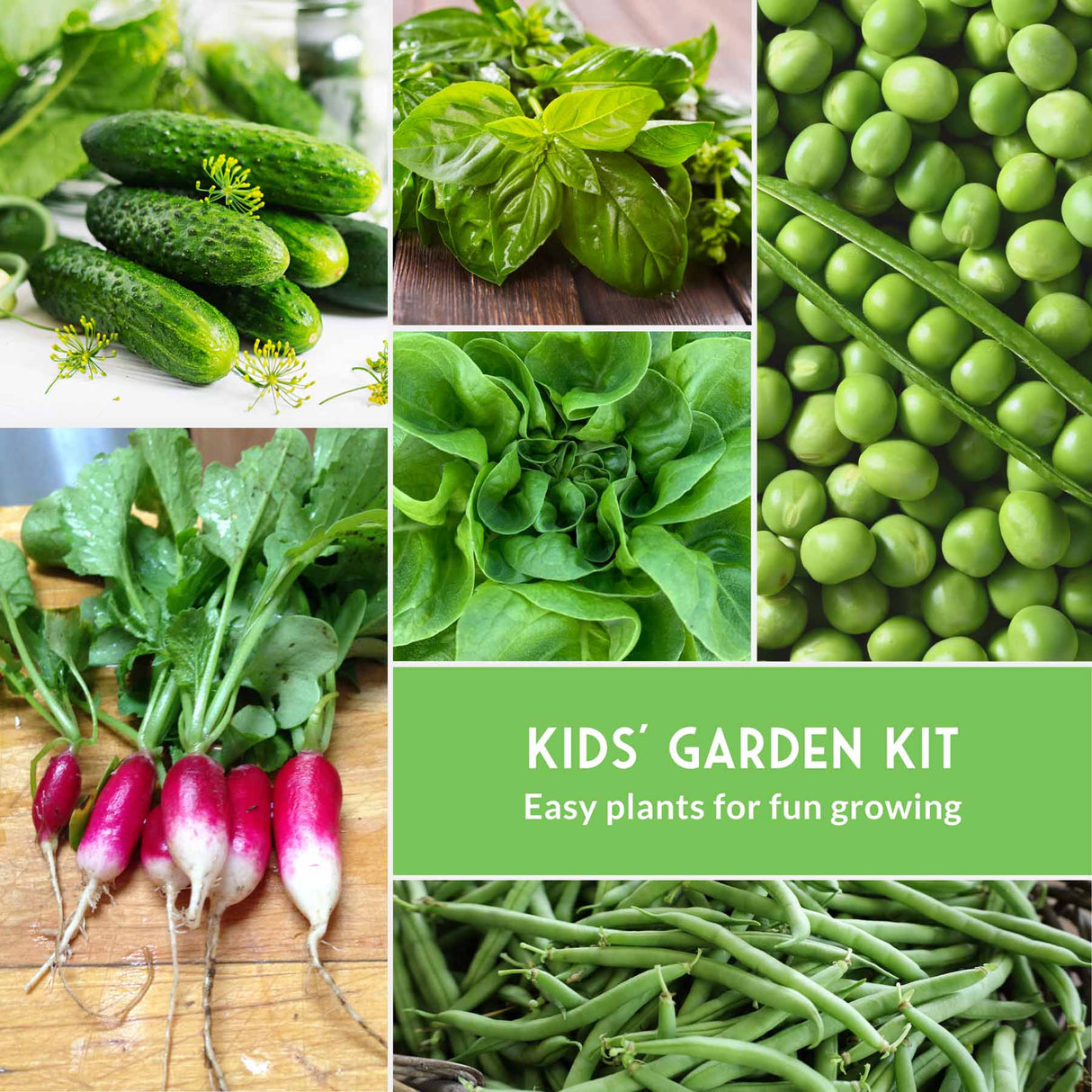 Collage of green vegetables with a 'Kids' Garden Kit' label.
