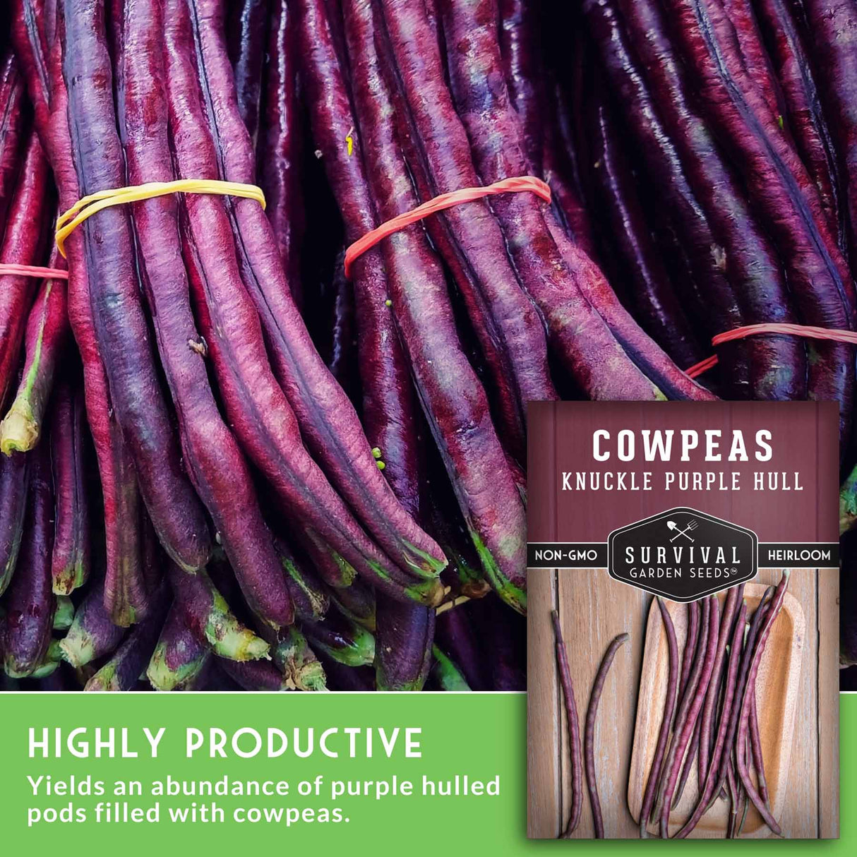 Bundles of purple cowpeas with a package labeled 'Cowpeas Knuckle Purple Hull' from Survival Garden Seeds.